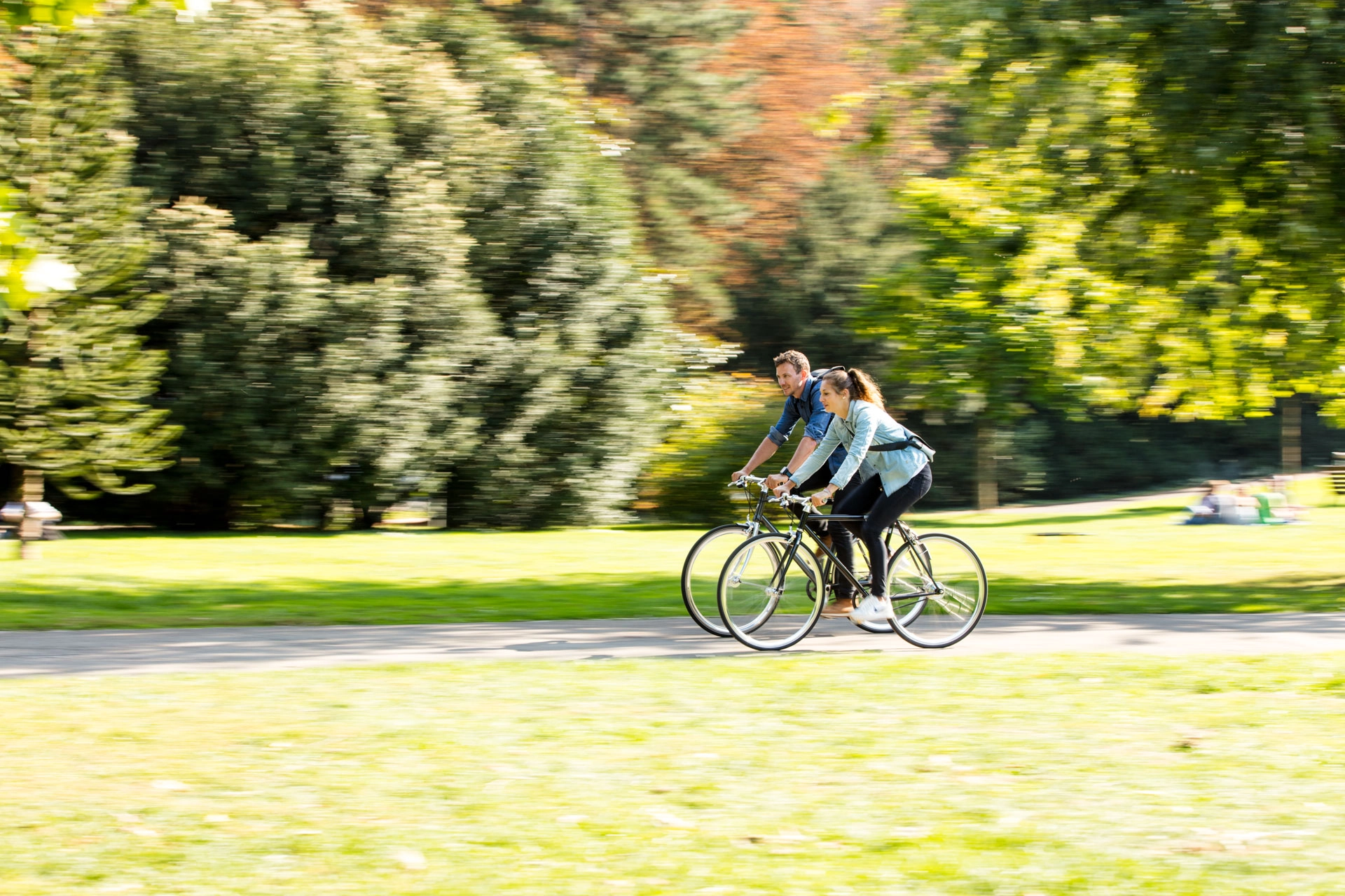 Zwei Radler:innen fahren durch den sonnigen Park, seitliche Ansicht Zwei Radler:innen fahren durch den sonnigen Park, seitliche Ansicht